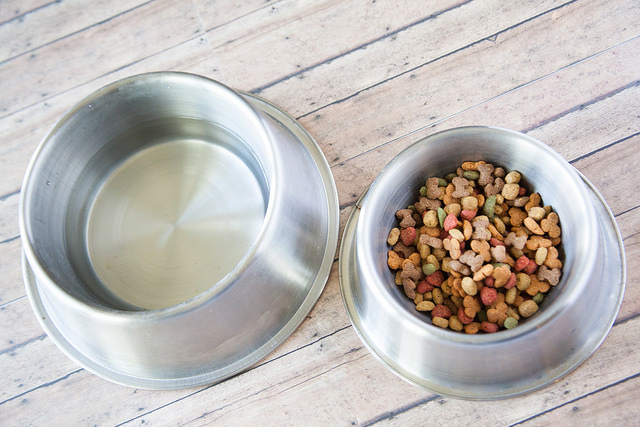 cat bowls for food and water